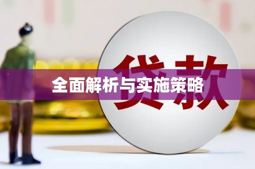 虎林全面解析与实施策略