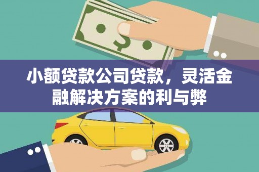 红安小额贷款公司贷款，灵活金融解决方案的利与弊