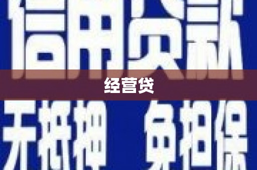 东明经营贷