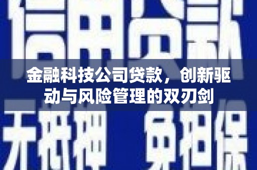 东安金融科技公司贷款，创新驱动与风险管理的双刃剑